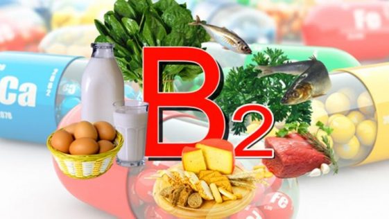 Beneficios Da Vitamina B2 Dr Saúde